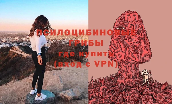 прущая мука Михайловск