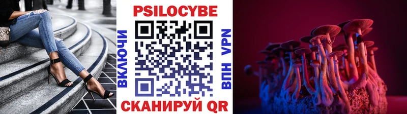 купить наркотик Карабаново Галлюциногенные грибы Psilocybine cubensis